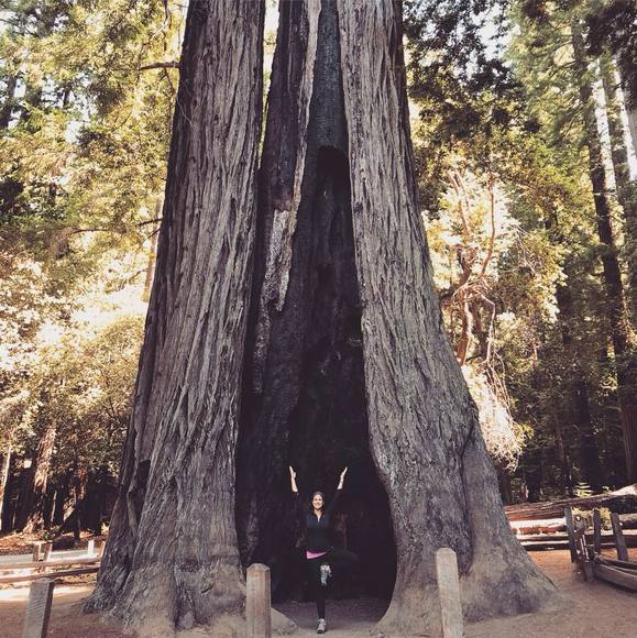 lisabmsp03